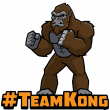 team kong team kong