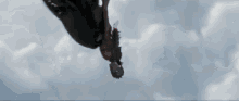 Freefall GIF - How To Train Your Dragon2 Hiccup Toothless GIFs
