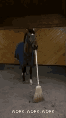 Horse Sweeping GIF - Horse Sweeping Working GIFs
