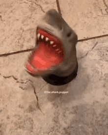 Shark Puppet Spinning GIF - Shark Puppet Spinning Shark GIFs