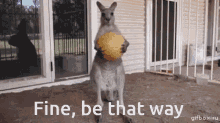 Fine Be That Way GIF - Fine Be That Way Kangaroo GIFs