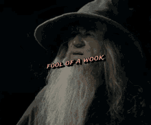 Gandalf Wook GIF - Gandalf Wook Fool Of A Wook GIFs
