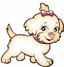 puppy