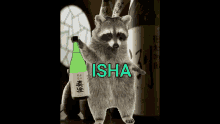 Isha Sake GIF - Isha Sake Raccoon GIFs