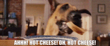 Marmaduke Hot Cheese GIF - Marmaduke Hot Cheese Hot Food GIFs