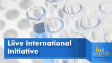 Hospitality Liive International Initiative GIF - Hospitality Liive International Initiative GIFs