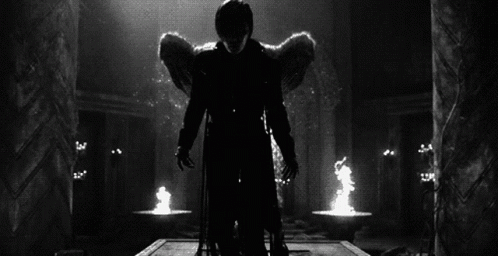 Wings Fly GIF - Wings Fly Angel - Descubre  Comparte GIFs