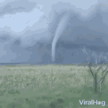 twister tornado natural disaster viralhog