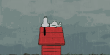 sad sad face cry sad dog dog sad sad face cry sad dog dog