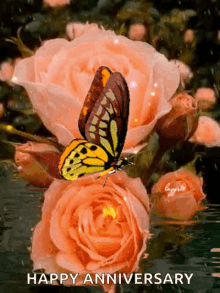 Flowers Beautiful In Day GIF - Flowers Beautiful In Day Happy Anniversary GIFs