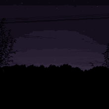 moon night darkness sky forest