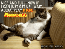 Pfunk Pfunk Cat GIF - Pfunk Pfunk Cat Alexa Play Pfunk GIFs