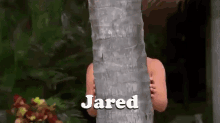 Jared Bachelor GIF - Jared Bachelor Paradise GIFs