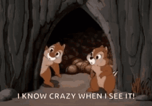 Crazy I See GIF - Crazy I See When You See It GIFs