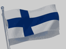 Finland Flag GIF - Finland Flag Flag Waver GIFs