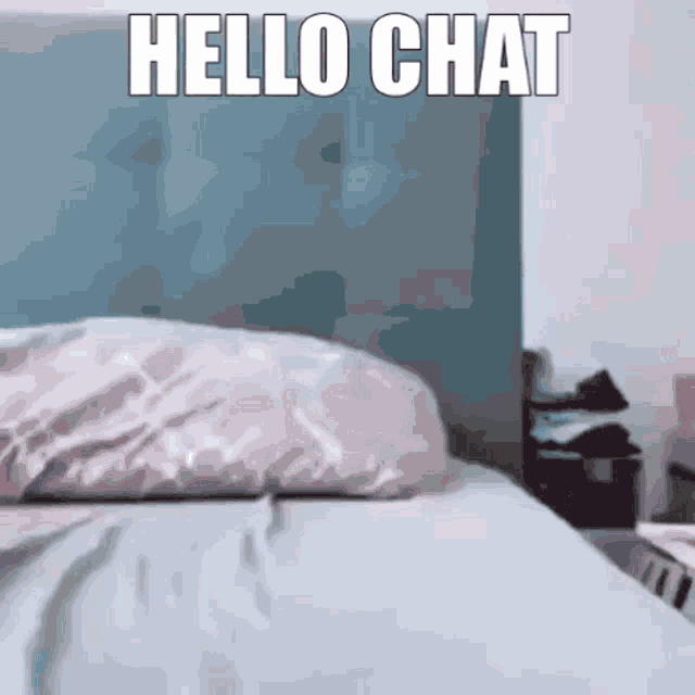 Hello Chat Cat Cat Fall GIF Hello Chat Cat Cat Fall Discover & Share GIFs