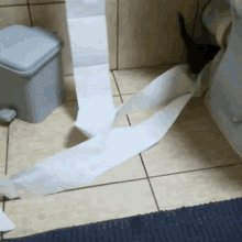 Cat Toilet Paper GIF - Cat Toilet Paper GIFs
