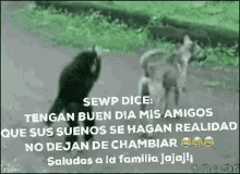 sewp sewpchambiar chambiar felizmonkey sewpmonkey sewp sewpchambiar chambiar felizmonkey sewpmonkey