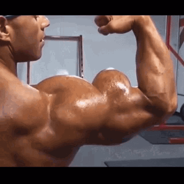 Muscle Huge GIF - Muscle Huge Bicep - Discover & Share GIFs.