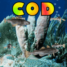 Cod Fish GIF - Cod Fish Marine Fish GIFs