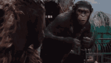 Apes Together GIF - Apes Together Strong GIFs