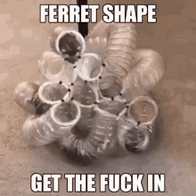 Ferret Ferret Shape GIF - Ferret Ferret Shape Funny Animal GIFs
