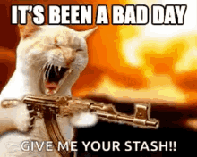 Bad Day Cat GIF - Bad Day Cat Its Been A Bad Day GIFs