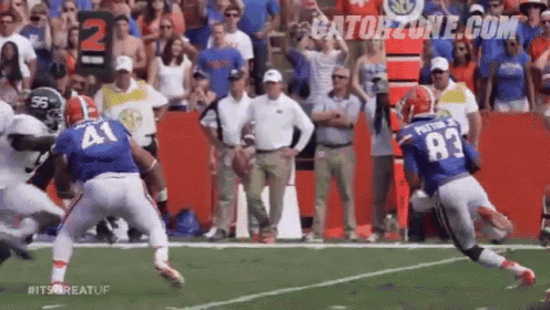 football-gators.gif