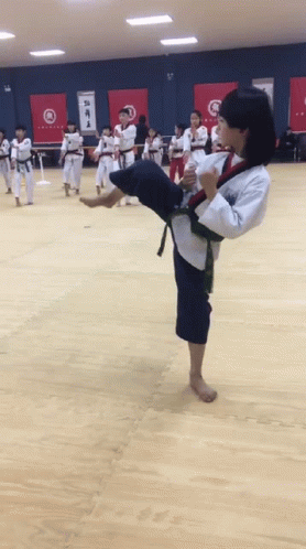 Taekwondo Leg Up GIF - Taekwondo Leg Up Practice GIFs
