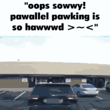 parallel parking uwu sowwy sorry among us parallel parking uwu sowwy sorry among us