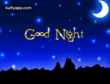 good night   stars good night wishes good night greetings good night stary night