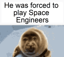 Baby Seal Cry GIF - Baby Seal Cry Space Engineers GIFs