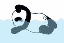 swimming freestyle panda