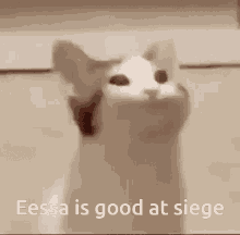 eessa eessa