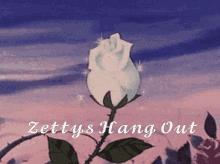 Zetty GIF - Zetty GIFs