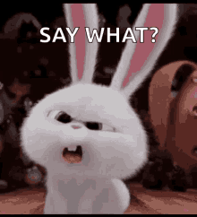 Say What GIFs | Tenor