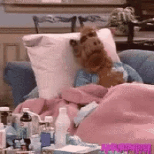 alf sick day home sick sneeze cold alf sick day home sick sneeze cold