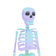 gross skeleton