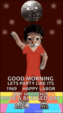 disco kitty party lets like