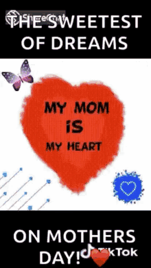 the sweetest of dreams on mothers day my family is my life my mom is my heart my sis is my smile