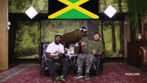 desus-and-mero-jamaican-flag.gif