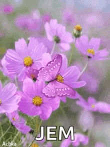 Violet Butterfly GIF - Violet Butterfly Flower GIFs
