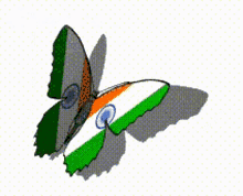 Indian Flag Butterfly GIF - Indian Flag Butterfly India GIFs