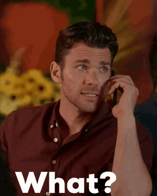 Kevinmcgarry What GIF Kevinmcgarry What Phone Discover & Share GIFs