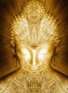 buddha meditate enlightened buddhism dharma