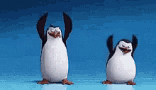 Los Pingüinos De Madagascar Bailan GIF - Baile Feliz Inicio De Mes Pinguinos GIFs
