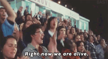 Right Now, We Are Alive GIF - Alive Wearealive Youngwildfree GIFs