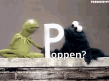 Poppen Kermit GIF - Poppen Kermit Cookie Monster GIFs