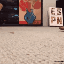 Cat Funny GIF - Cat Funny Slippers GIFs