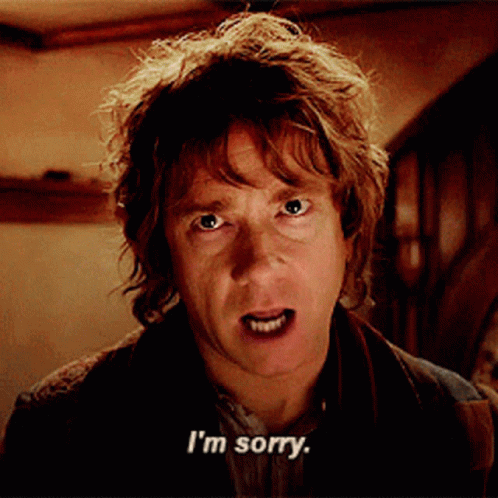 Lord Of The Rings Im Sorry GIF - Lord Of The Rings Im Sorry No Thank You GI...